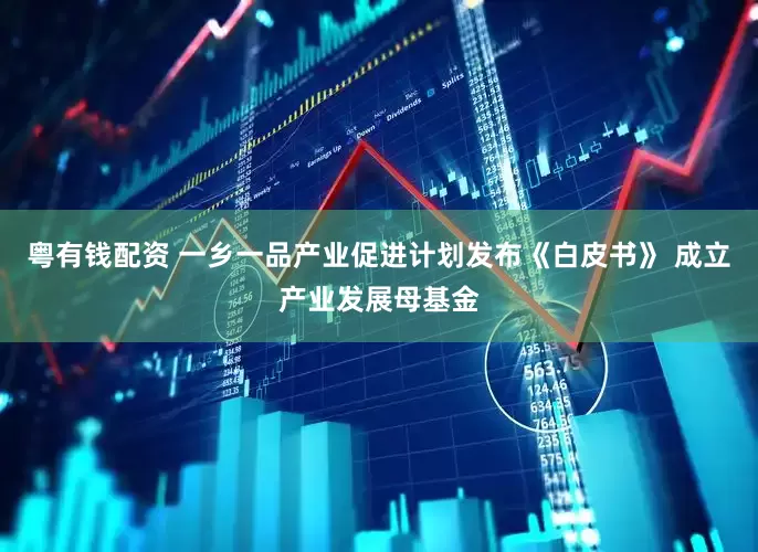 粤有钱配资 一乡一品产业促进计划发布《白皮书》 成立产业发展母基金