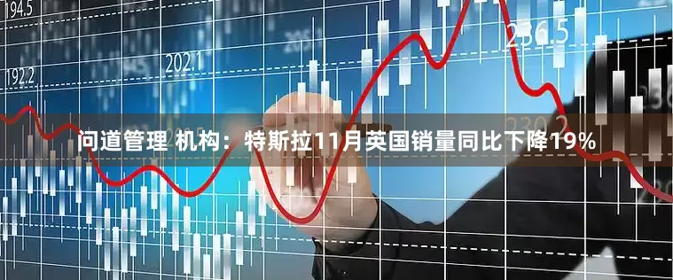 问道管理 机构：特斯拉11月英国销量同比下降19%