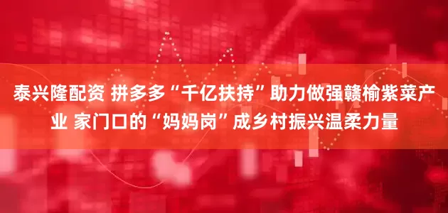 泰兴隆配资 拼多多“千亿扶持”助力做强赣榆紫菜产业 家门口的“妈妈岗”成乡村振兴温柔力量