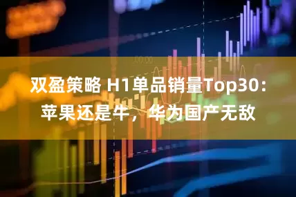 双盈策略 H1单品销量Top30：苹果还是牛，华为国产无敌